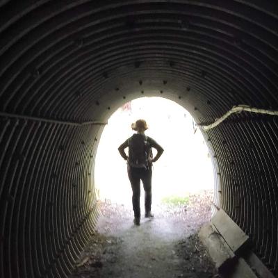 #039 京都一周トレイル完了! #039 京都一周トレイル完了!