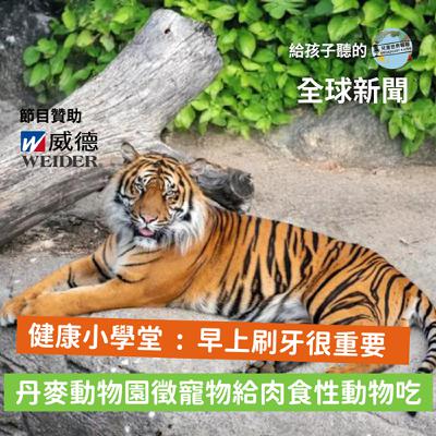 【國際新聞】丹麥動物園徵寵物給獅子老虎當食物