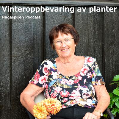 38/25: Tilbakeblikk - Vinteroppbevaring av planter med Ingrid Heier