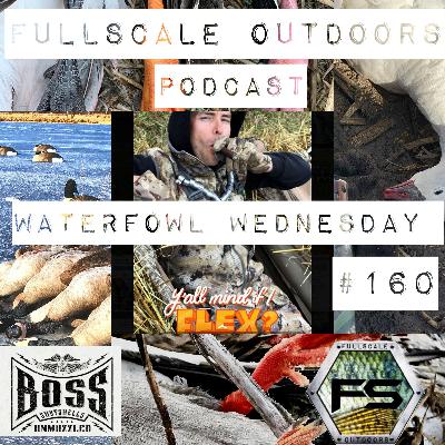 Waterfowl Wednesday #160