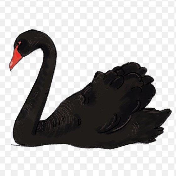 Black Swan قوی سیاه مذاکره podcast artwork