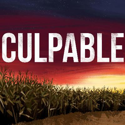 Culpable Returns