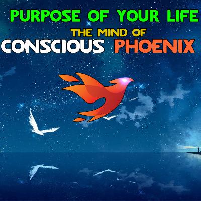 ConsciousPhoenix - What is the purpose of your life (PART 3)