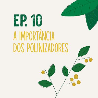 T1 | Ep 10 - A Importância dos Polinizadores T1 | Ep 10 - A Importância dos Polinizadores