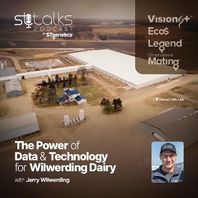 STtalks #318 - The Power of Data & Technology for Wilwerding Dairy with Jerry Wilwerding
