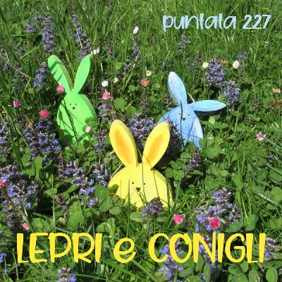 Puntata 227 - Lepri e conogli