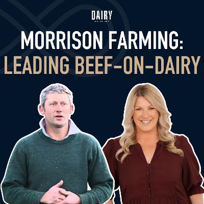 Episode 78 - Morrison Farming: Leading beef-on-dairy genetics