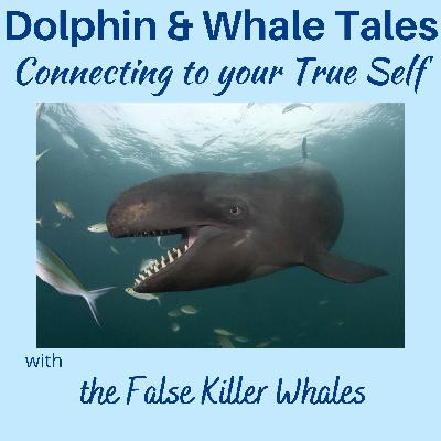 15 Connecting to your True Self with the False Killer Whales