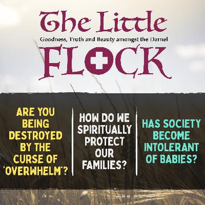 10. How can you remain true to your faith when you are around atheists and agnostics? How do you discipline children? How can we spiritually protect our homes and families? 10. How can you remain true to your faith when you are around atheists and agnostics? How do you discipline children? How can we spiritually protect our homes and families?