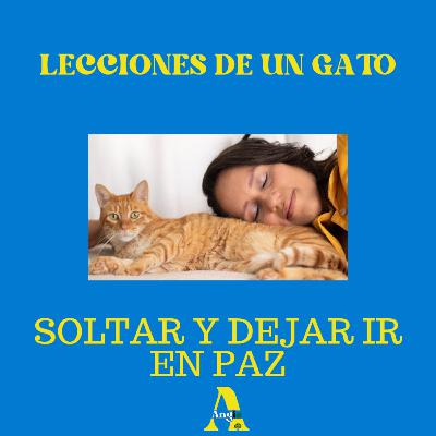 18- Lecciones de un gato - Parte 4 "Dejar Ir" 18- Lecciones de un gato - Parte 4 "Dejar Ir"