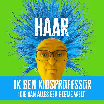 Kidsprofessor - aflevering 1: Haar Kidsprofessor - aflevering 1: Haar