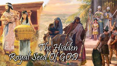 The Hidden Royal Seed Of God The Hidden Royal Seed Of God