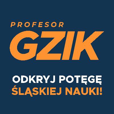 ROBOTY - TOWARZYSZE JESIENI ŻYCIA?