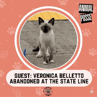 Abandoned at the State Line: The Welcome Center Cats