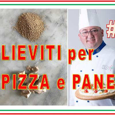 #24 - LIEVITI per PIZZA e Pane #4