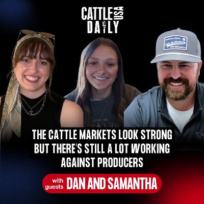 293: Cattle Markets Look Strong but There’s Still a Lot Working Against Producers w/ Dan & Samantha 293: Cattle Markets Look Strong but There’s Still a Lot Working Against Producers w/ Dan & Samantha