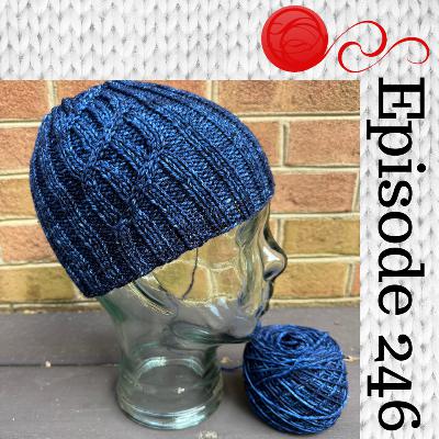 Episode 246 - Emotional Support Sock