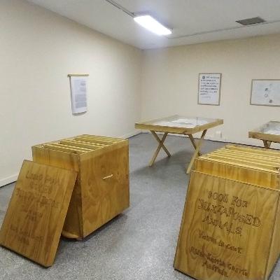 Proyecto Tesis 2021 : "Libro para anales yuxtapuestos"