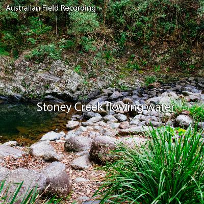 Stoney Creek Flowing Water (field recording)