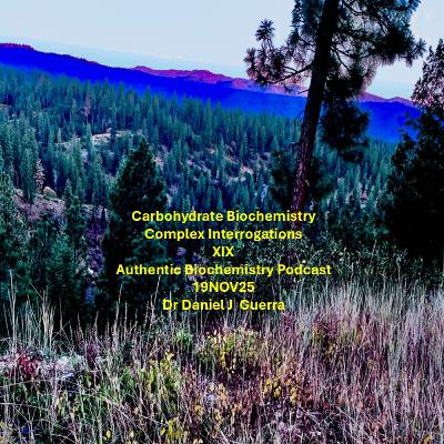 Carbohydrate Biochemistry Complex Interrogations XIX . Part B. Authentic Biochemistry Podcast 19NOV25 Dr Daniel J Guerra