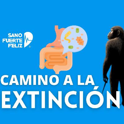 PÉRDIDA de MICROBIOTA - camino a la extinción