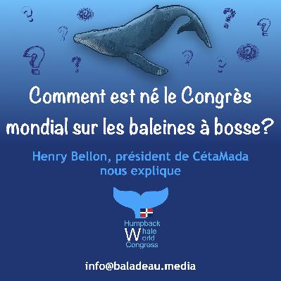 Comment est né le Congrès mondial sur les baleines à bosse?