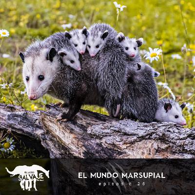El Mundo Marsupial