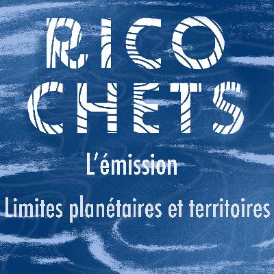 Ricochets #18 : Limites planétaires et territoires