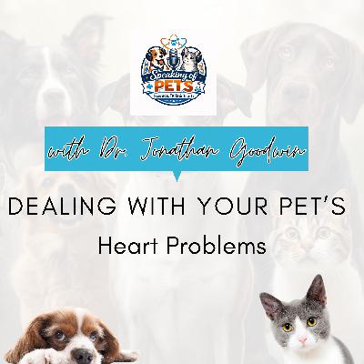 Dealing With Your Pet’s Heart Problems | SOP Ep. 107 - Dr. Jonathan Goodwin Dealing With Your Pet’s Heart Problems | SOP Ep. 107 - Dr. Jonathan Goodwin