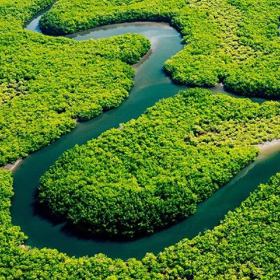 Come sta l'Amazzonia Come sta l'Amazzonia