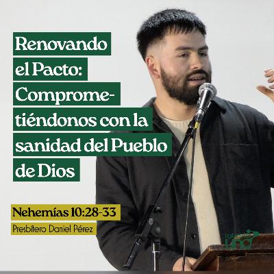 SANANDO LAS HERIDAS, RECONSTRUYENDO LA ESPERANZA Nº8 SANANDO LAS HERIDAS, RECONSTRUYENDO LA ESPERANZA Nº8