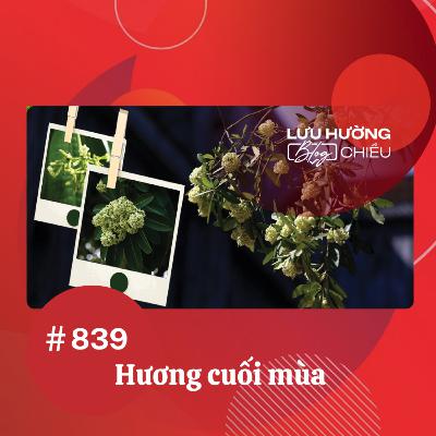 Hương cuối mùa | Lưu Hường blog chiều | Đài Hà Nội Hương cuối mùa | Lưu Hường blog chiều | Đài Hà Nội
