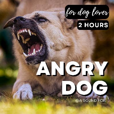 Angry Dog - Growling and barking. 2 hours