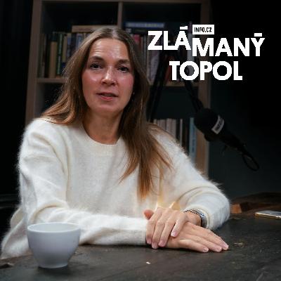 Topolánek: Prezident nepověří nikoho bez 101 podpisů. Konečná na 99 procent Babišovi hlasy nedá