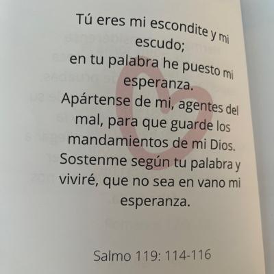 Día 12- Amor para el Alma / Salmos 119:114-116