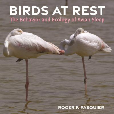 Ep. 262 : Birds at Rest with Roger Pasquier