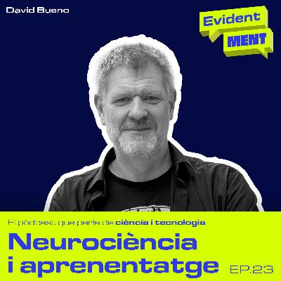 #23 EvidentMENT | Neurociència i aprenentatge, amb David Bueno #23 EvidentMENT | Neurociència i aprenentatge, amb David Bueno
