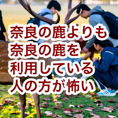 奈良の鹿よりも奈良の鹿を利用している人の方が怖い
