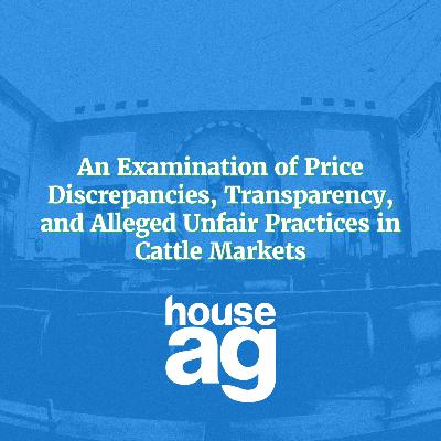 An Examination of Price Discrepancies, Transparency, and Alleged Unfair Practices in Cattle Markets
