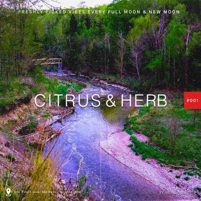 Citrus & Herb 001 - The Inauguration Citrus & Herb 001 - The Inauguration