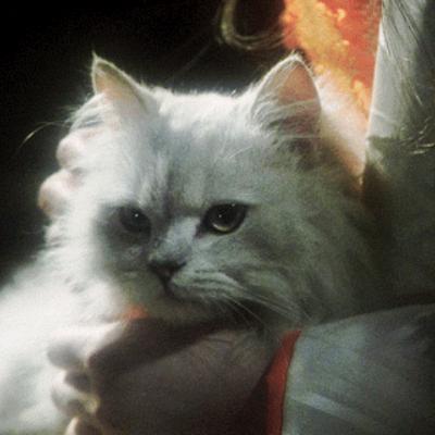 Esoerotic Magick + Musings :: It's Not Just Butterin' Biscuits 🧈 :: June 18, 2025