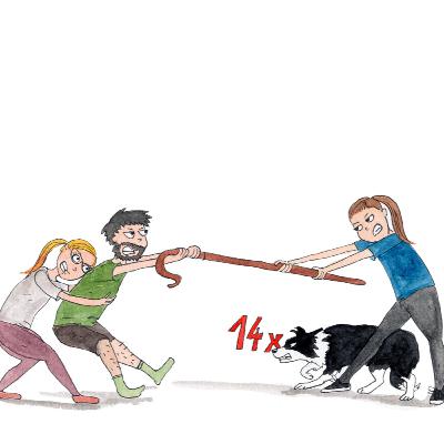 Kaja Župec, Sheepdog center Ovčarska: "Kekec je kul"