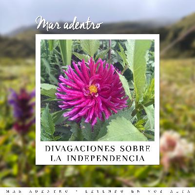 06. Divagaciones sobre la independencia