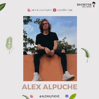 Alex Alpuche / Centaurea