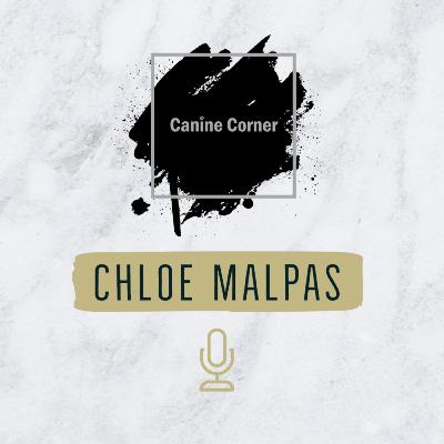 Out and About with Dogs this Autumn