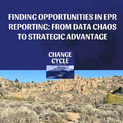 Finding Opportunities In EPR Reporting: From Data Chaos To Strategic Advantage