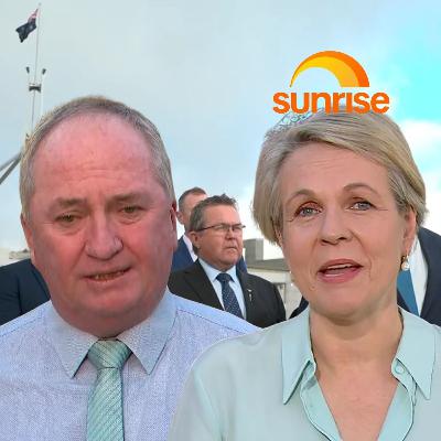 Barnaby Joyce addresses whether he'd stay if Nationals dumping net zero