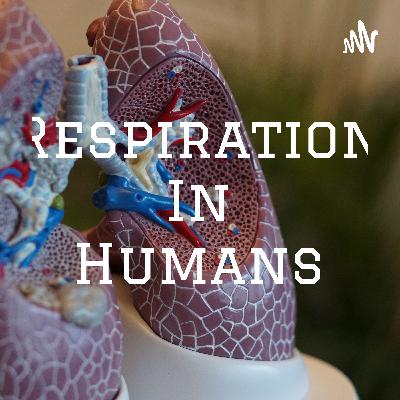🎯🍿 PODCAST ON HUMAN RESPIRATION 🍿🎯