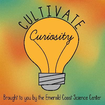 ECSC in 2026 ECSC in 2026