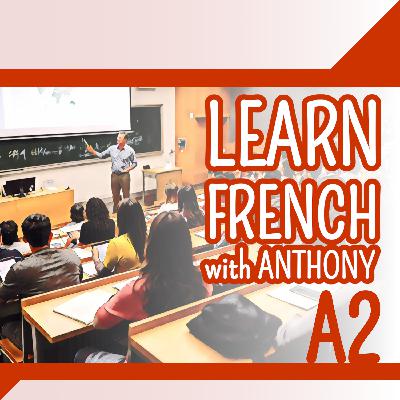 A2#08 Etudes et scolarité